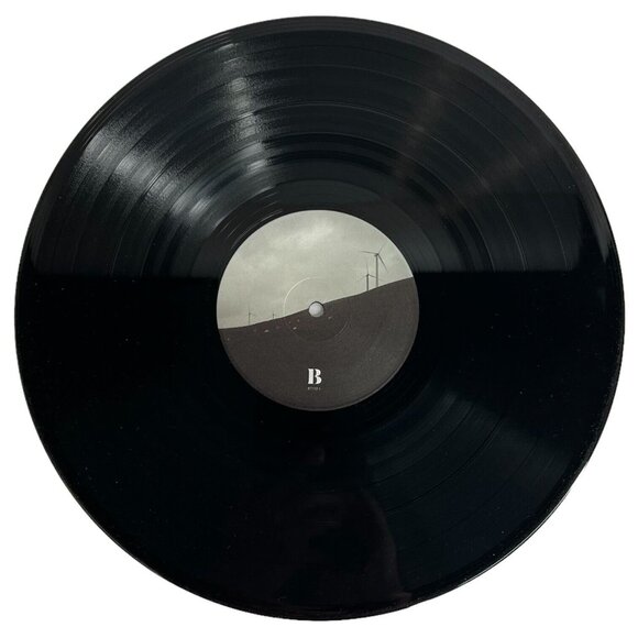 Boy Scouts Free Company Vinyl LP 2019 Record Album Anti Records 87712-1 - Picture 7 of 8